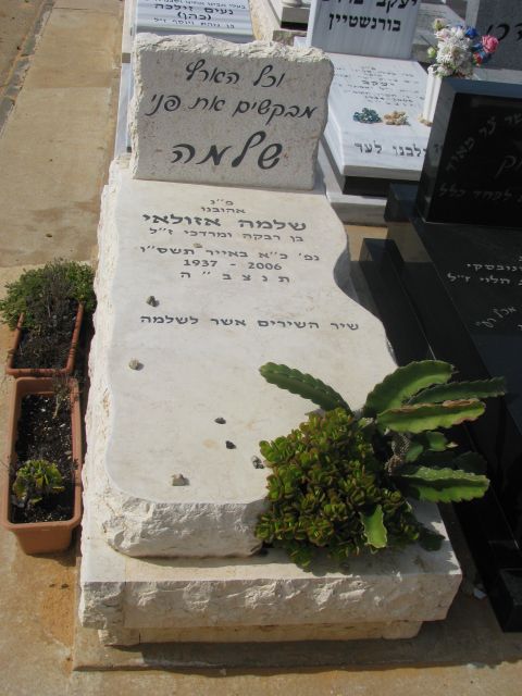 סוג מצבה משילוב צמחיה במצבה אבן חברון