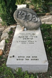מצבה מיוחדת עם ראש סלע טבעי בשילוב חריטה