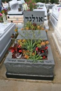 מצבת סלע טבעית בצפון עם אדמה ופרחים